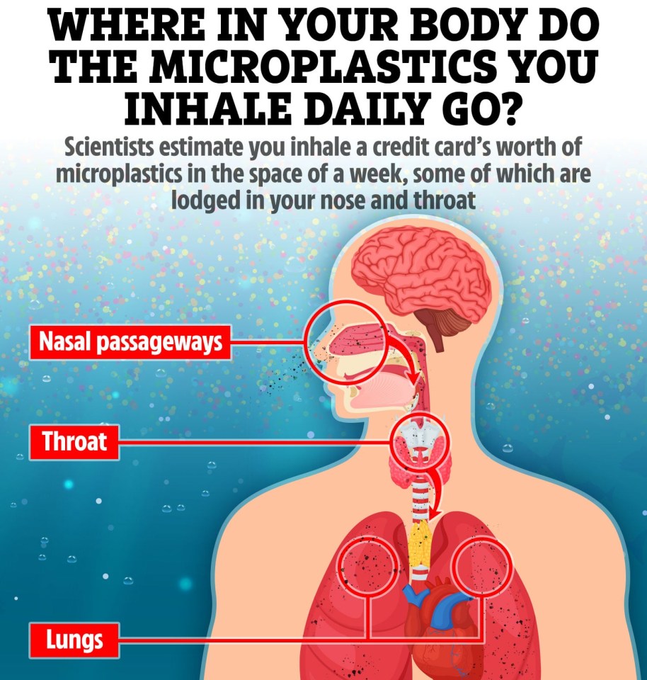 The larger microplastics get lodged in our nasal passageways and throat