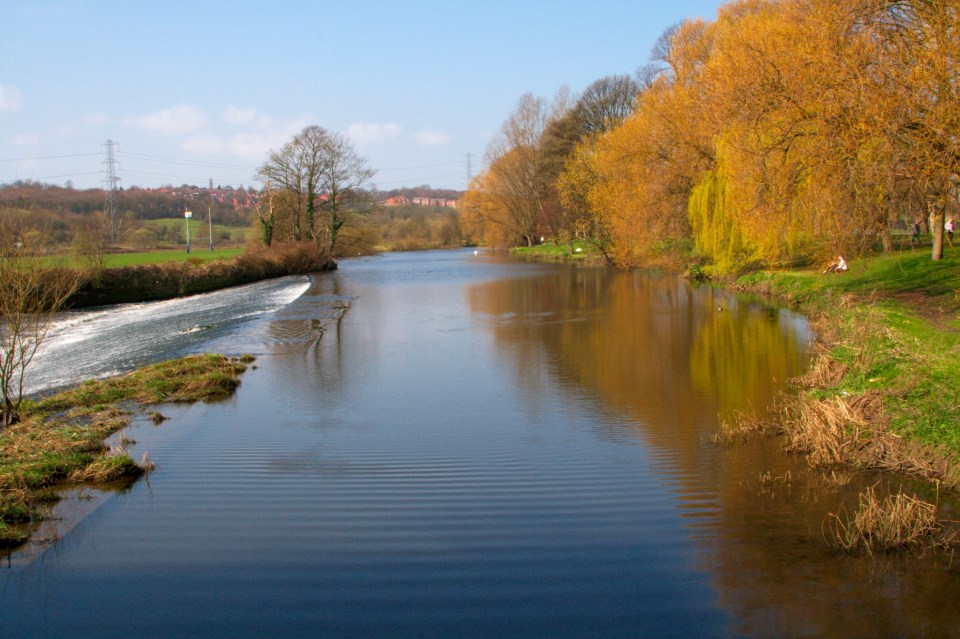 Nature-loving volunteers fear Kirstall Valley beside the River Aire faces ruin by visitors