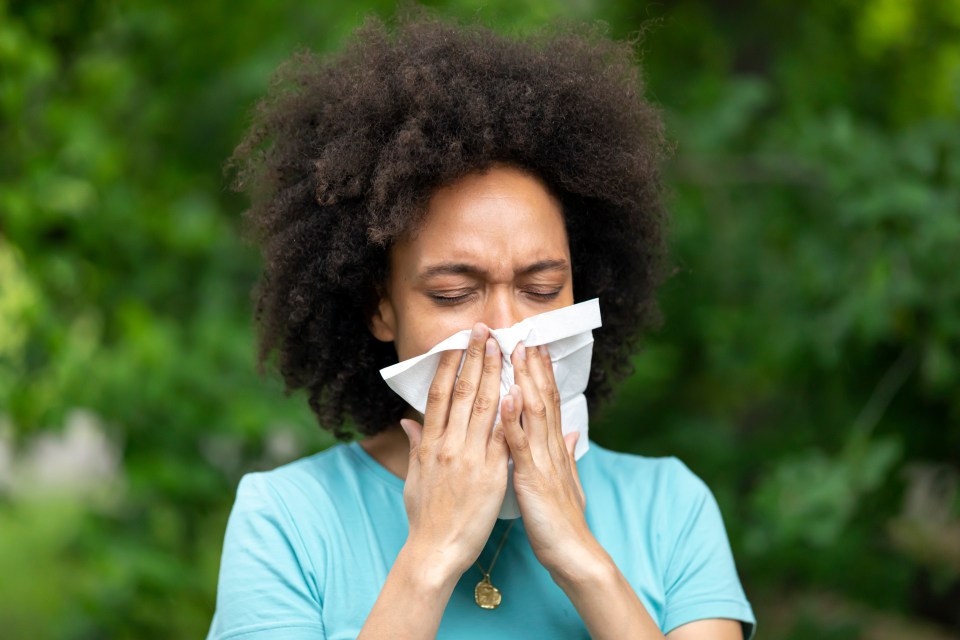 Hay fever season usually lasts from spring to September