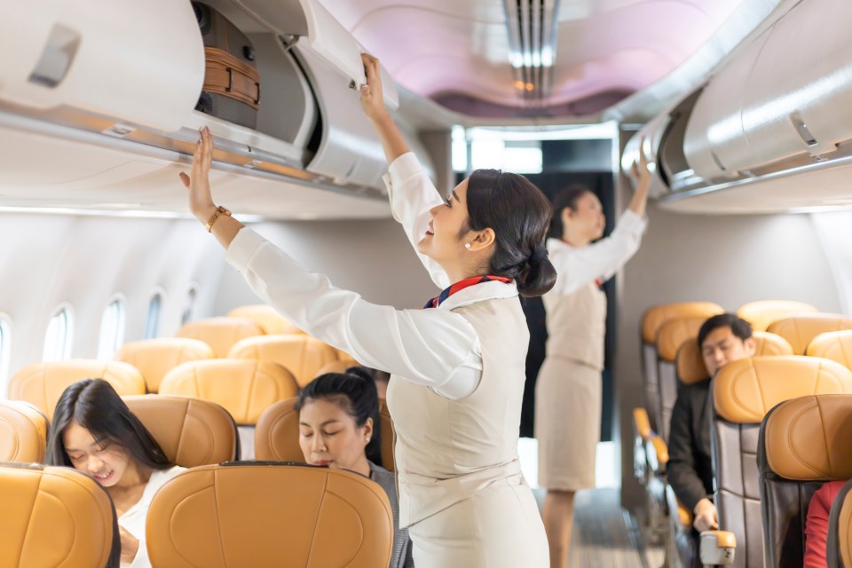 A flight attendant has revealed why you should never ask for help when lifting your luggage into the overhead lockers