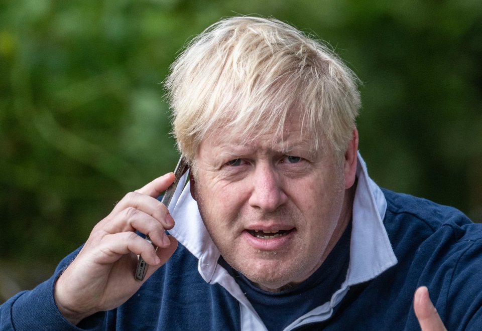 Allies of Boris Johnson claim the cache of texts could show the then-Chancellor was agitating to bring him down