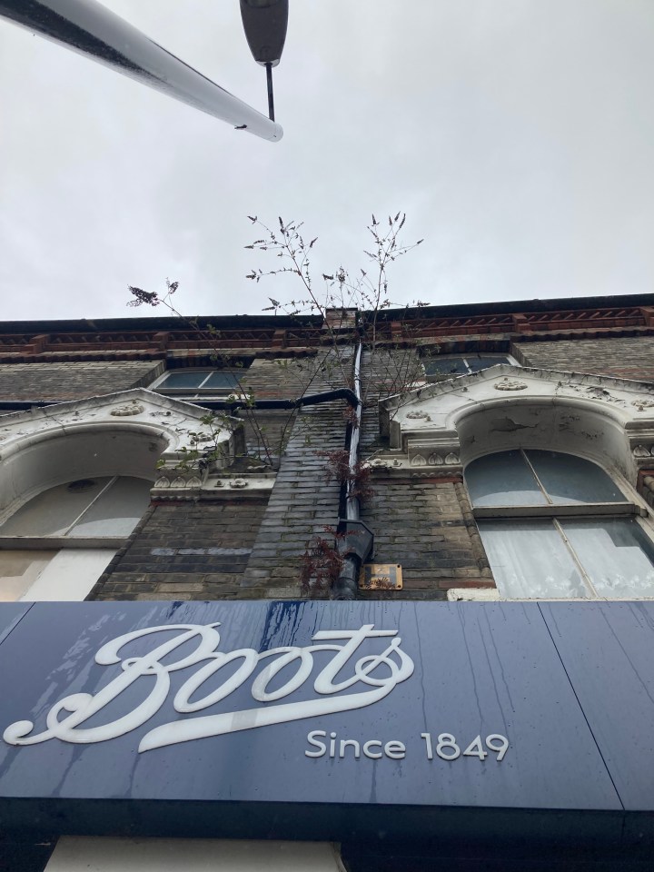 a building with a blue sign that says boots since 1849