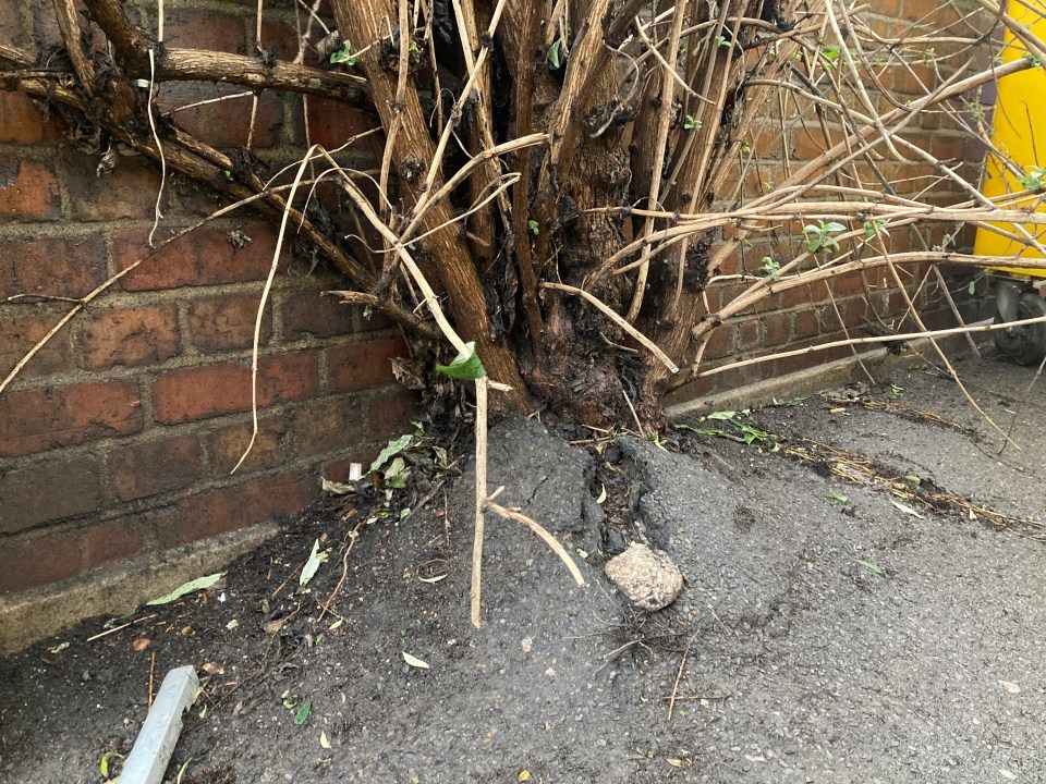 a brick wall with a yellow trash can in the background