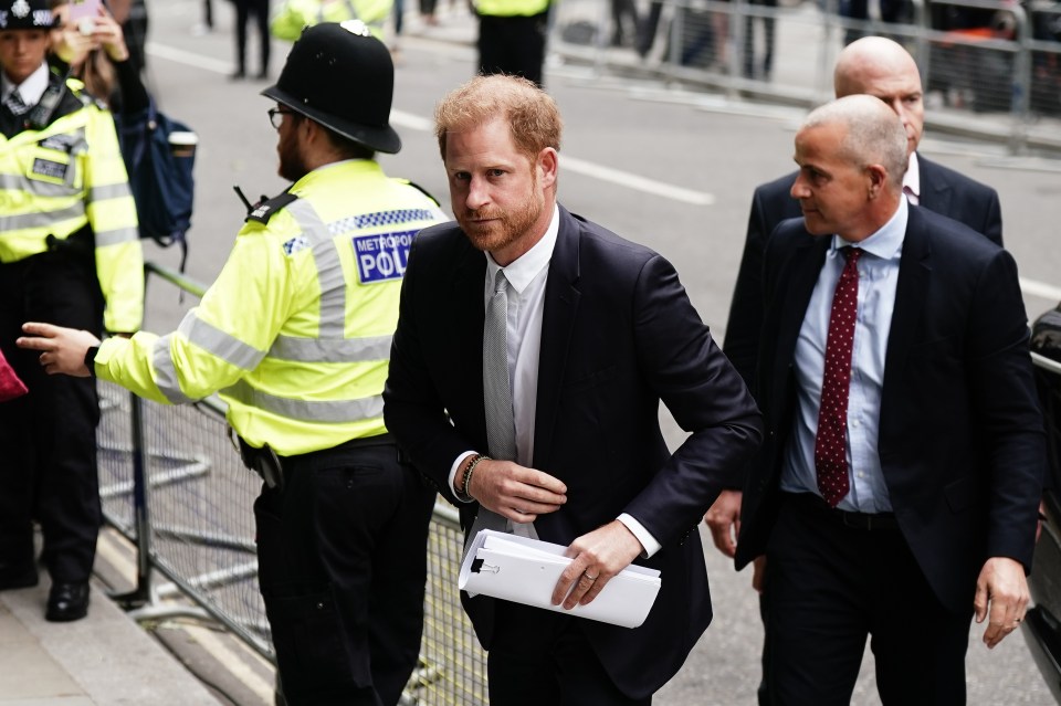 The duke carried a number of documents as he arrived at the High Court