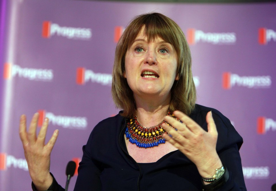 Margaret McDonagh, Labour's first female general secretary, has died aged 61