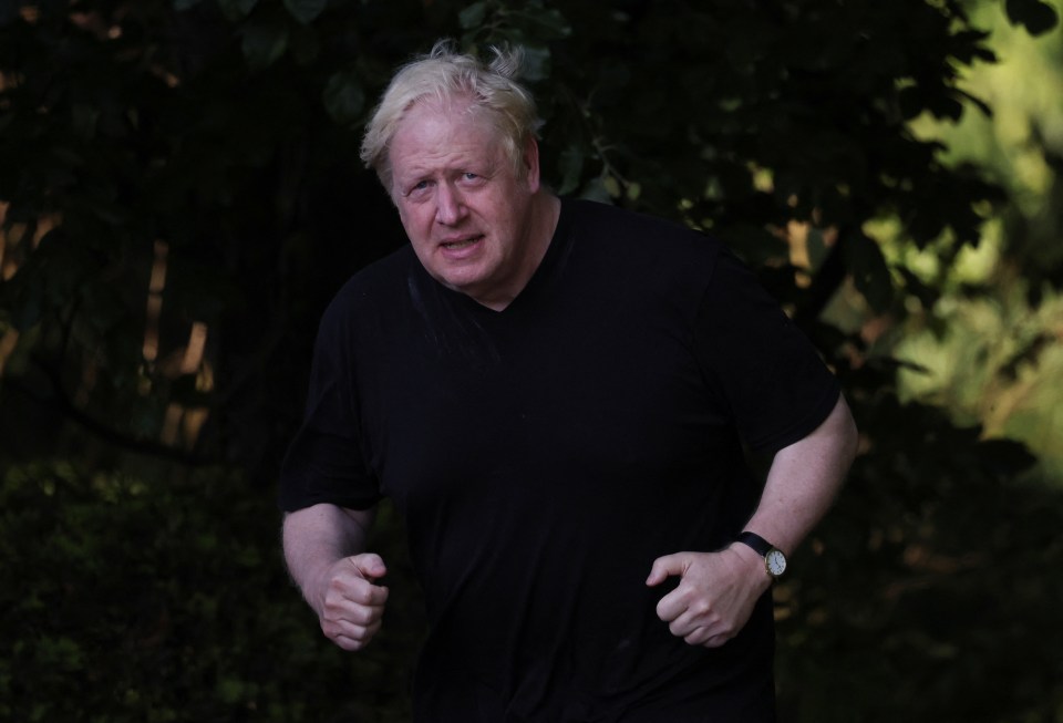 Boris Johnson still splits the Conservative Party