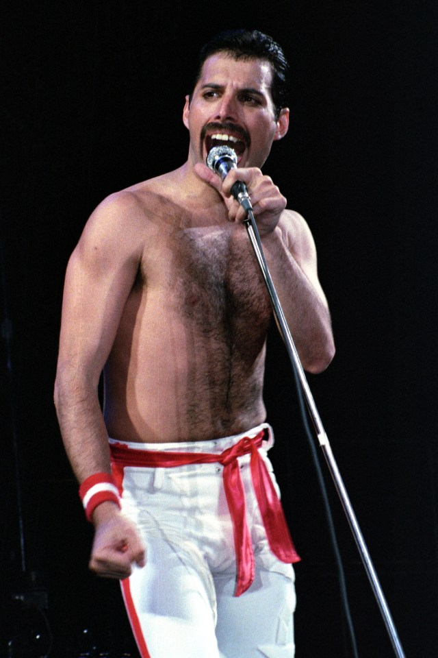 Queen star Freddie Mercury died in 1991