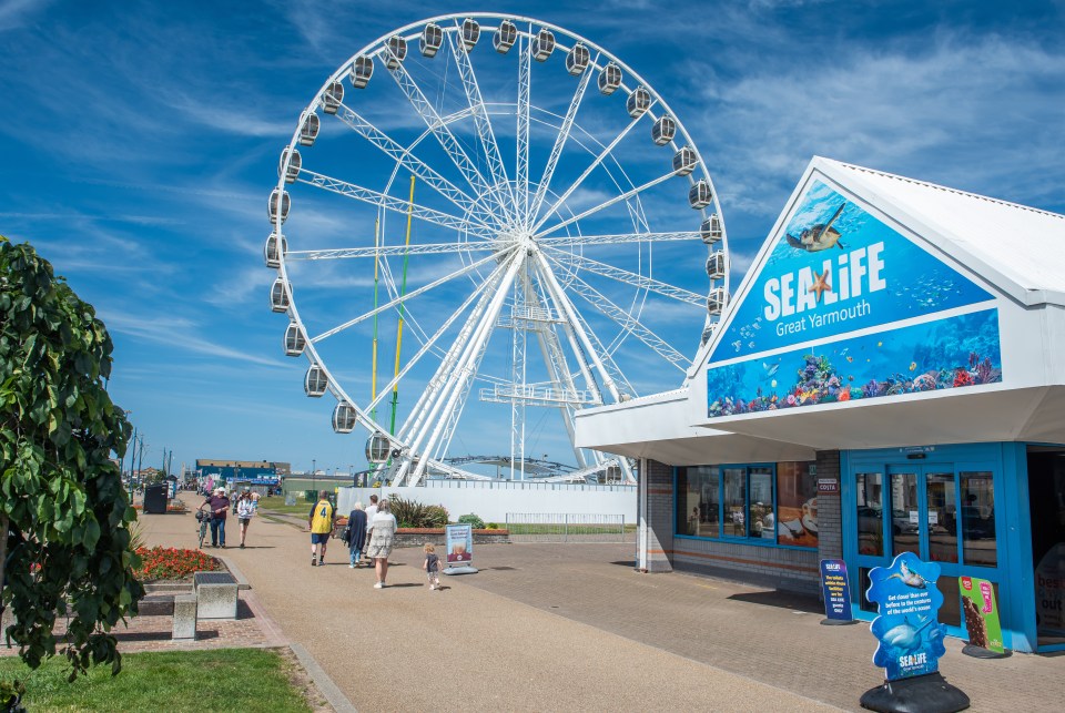 For all those wild kids, Great Yarmouth is also home to a Sea Life centre