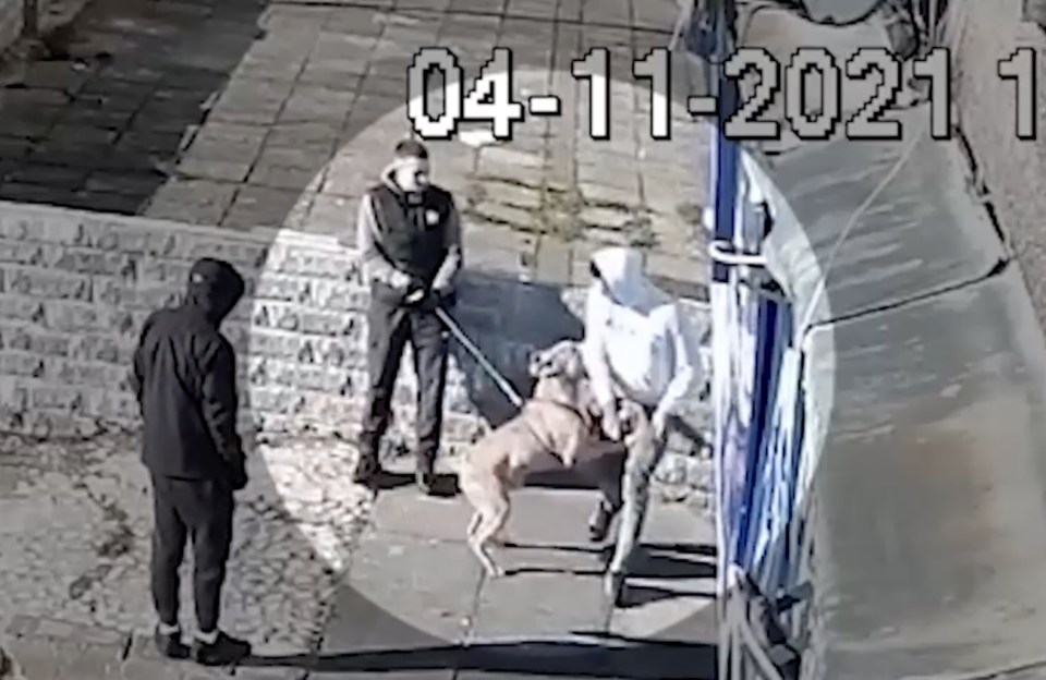 Brandon Hayden with the dog on CCTV lunging at people days before the attack