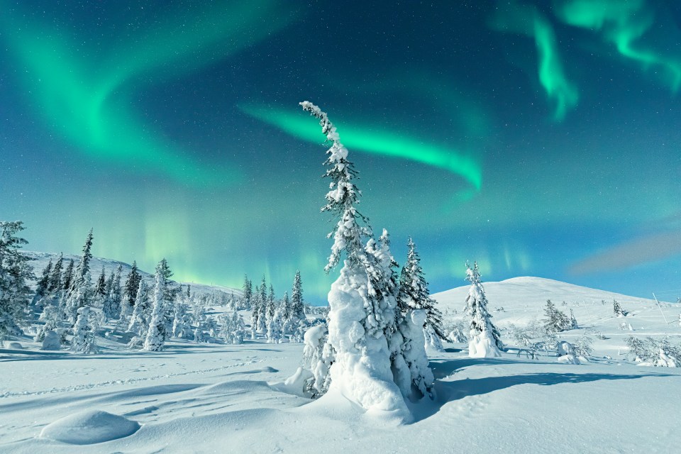 You could even catch a glimpse of the Northern Lights