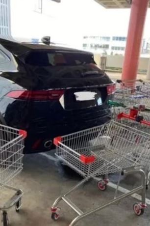 To add insult to injury the woman connected some trolleys together to make it even harder to separate them