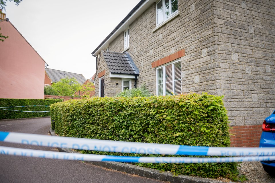 Officers and paramedics were called to a property in Tansy Lane, Portishead