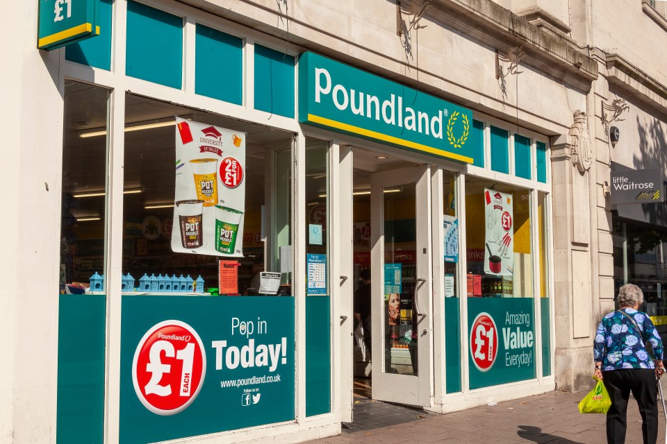 Savvy shoppers are divided over a £12 summer buy from Poundland