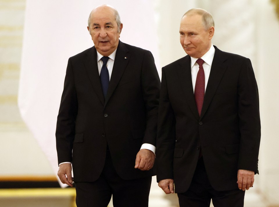 Russia has admitted Britain’s Storm Shadow rockets are a nightmare for invaders in Ukraine (pictured: Russian President Vladimir Putin and Algerian President Abdelmajid Tebboune)