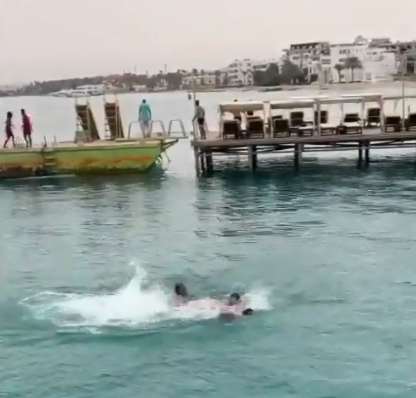 Beachgoers could be seen frantically swimming away from the attack