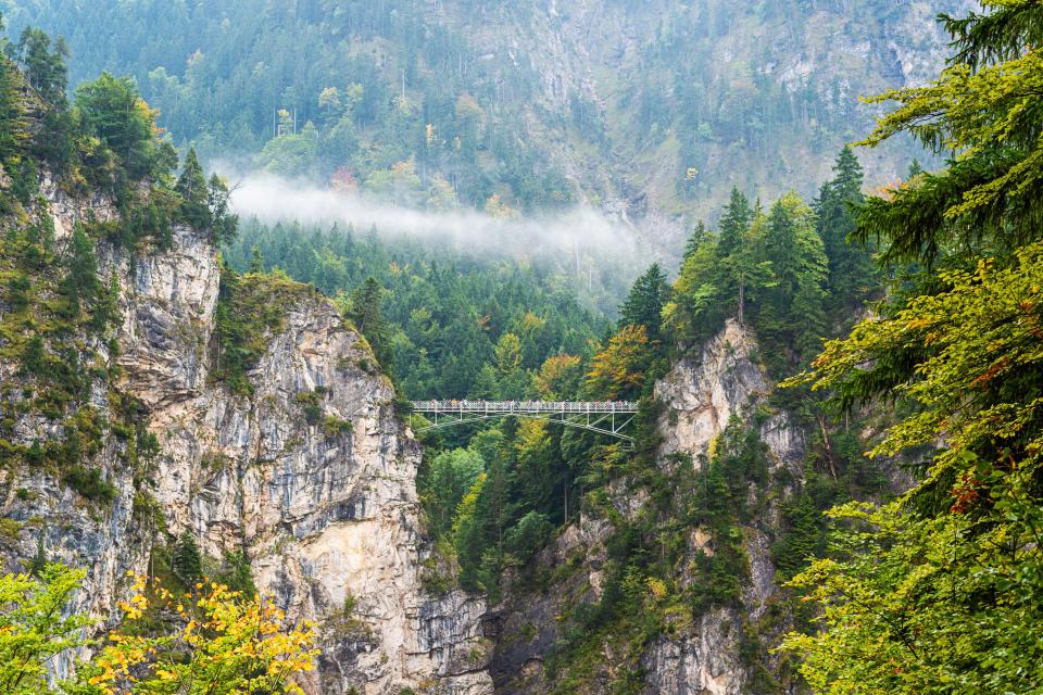 The tourists were horrifically hurled off the Marienbrücke Bridge, police say