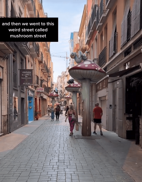 They visited the promenade and the "mushroom street" in Alicante