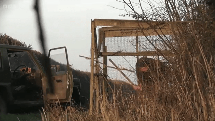 Footage showed a gamekeeper beating a buzzard to death with a stick