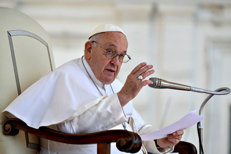 Pope Francis - pictured on May 31 - has been taken to hospital in Rome