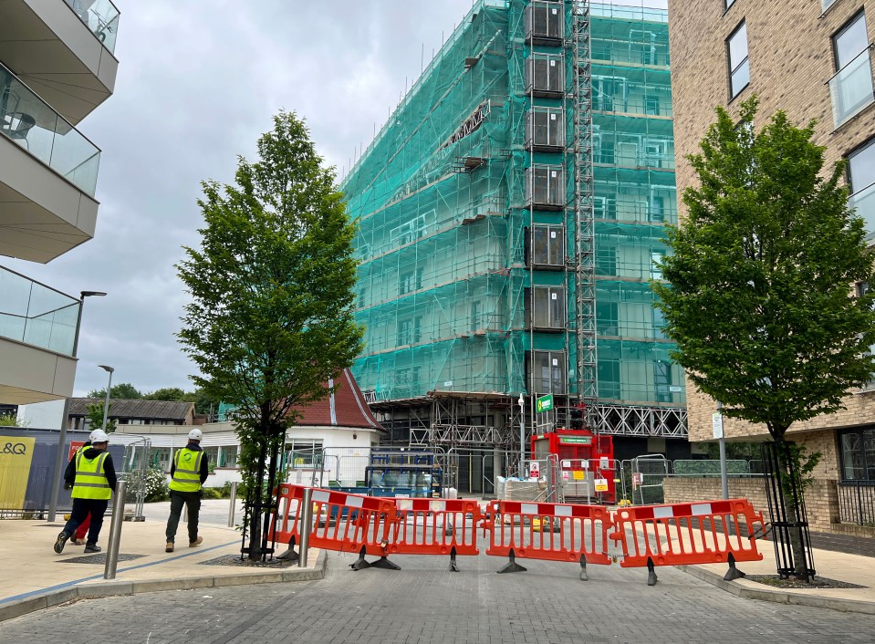 The Goodwood Apartments on the estate, covered in scaffolding while residents moved out for major repairs