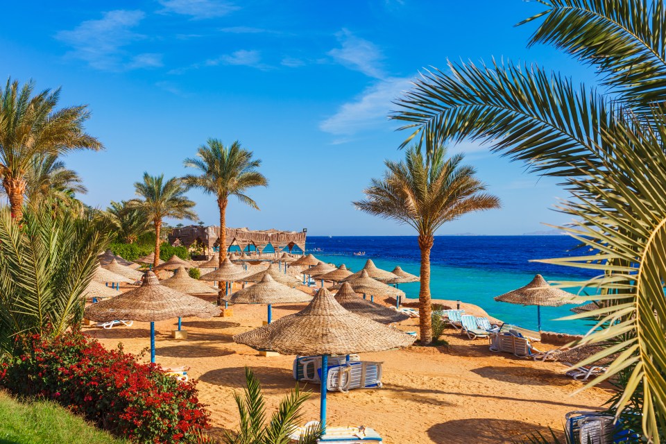 The Red Sea is warmer than most unheated hotel pools, which is one of the main benefits of visiting Egypt in the winter