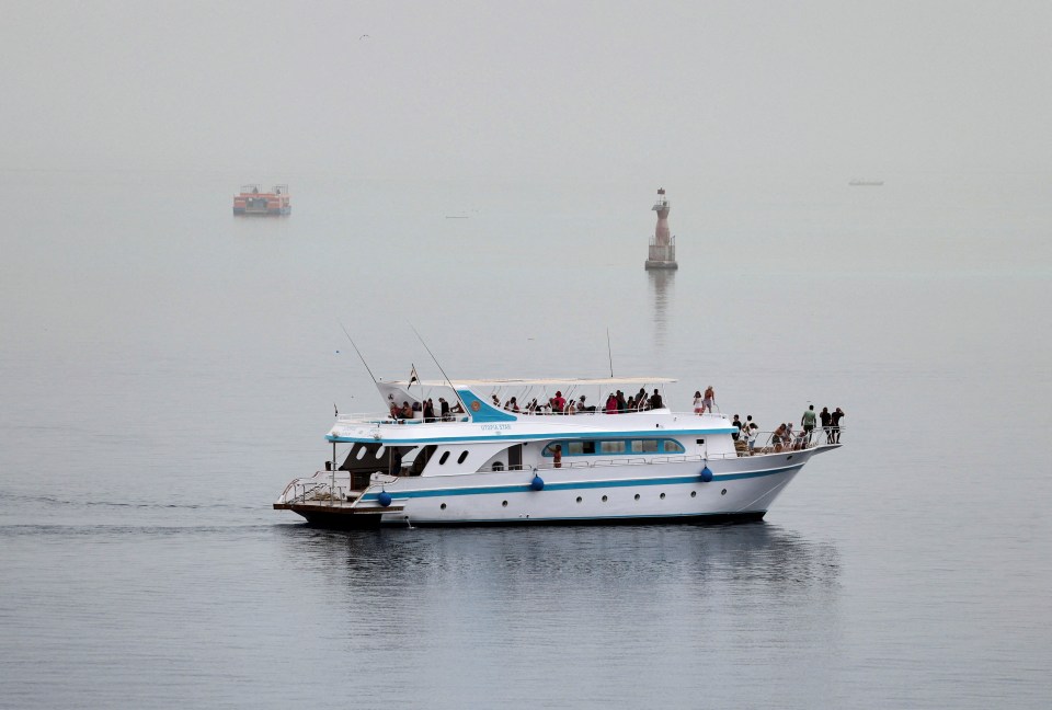 The increase in tourism and fishing activities could lead to more shark attacks