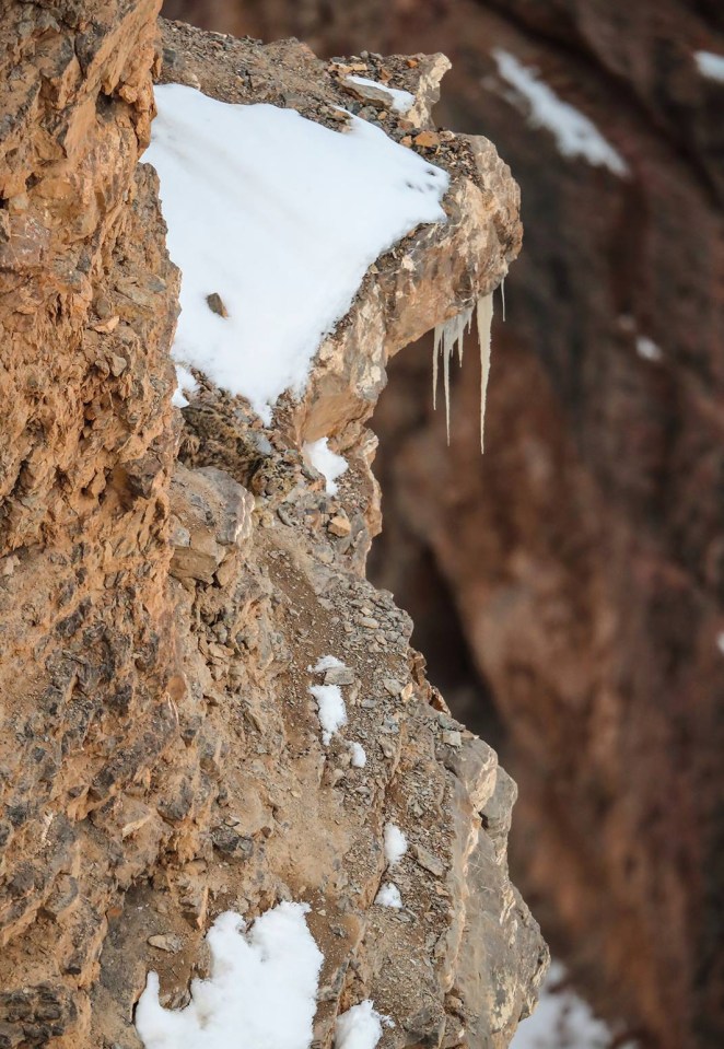 Can you spot the sneaky snow leopard on this icy mountain peak?