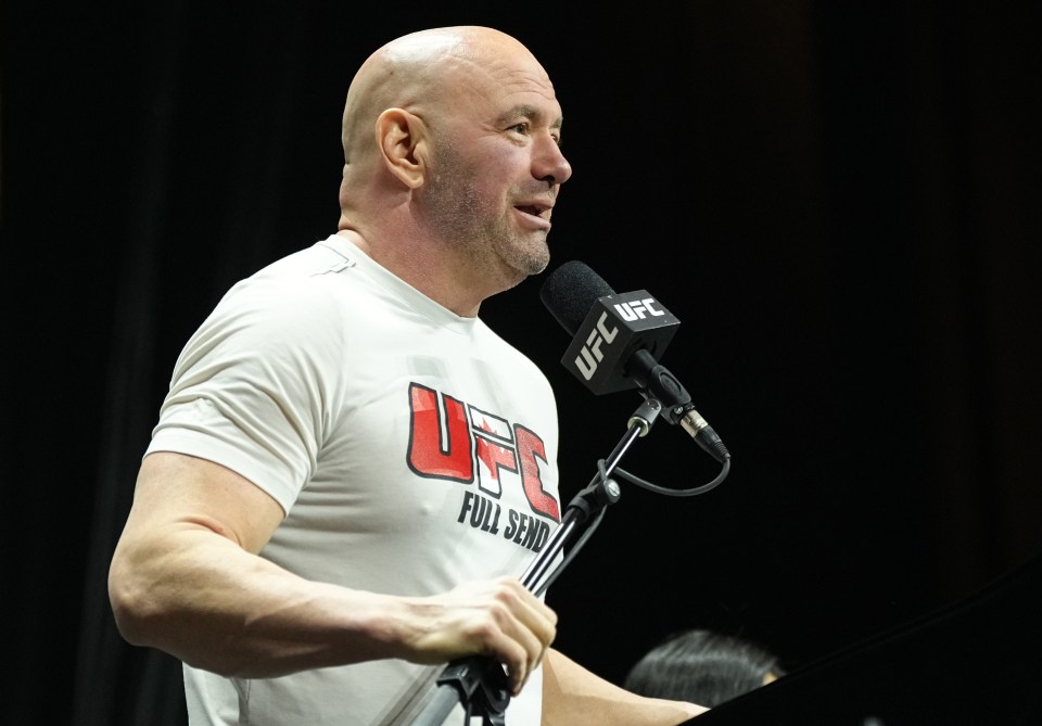 UFC president Dana White has dismissed rumours of the fight being booked