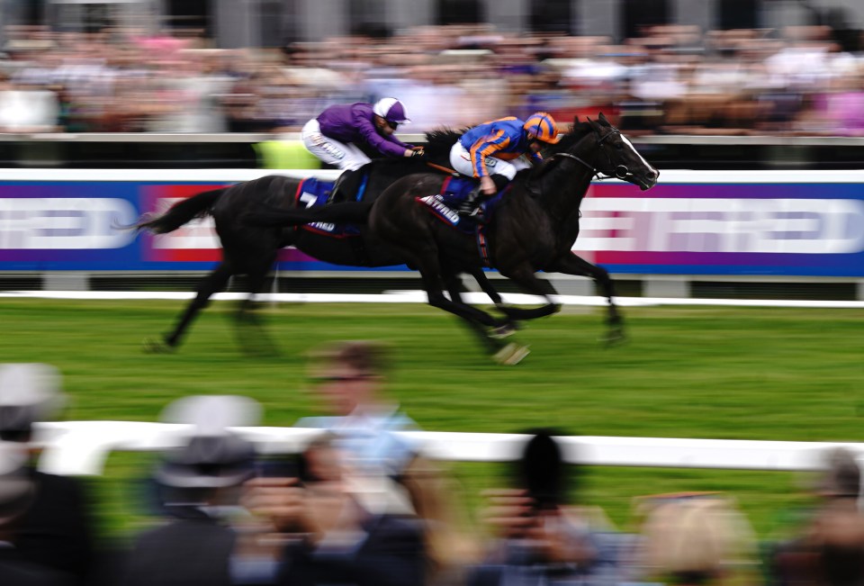 Auguste Rodin (blue and orange) runs down King Of Steel in the closing stages