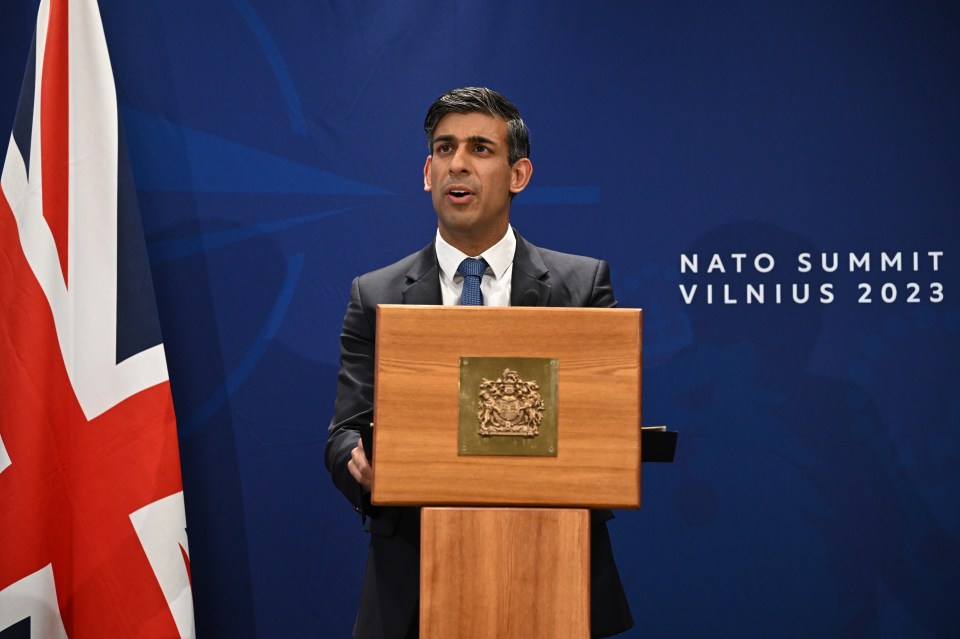 Rishi Sunak slapped down the comment at a press conference this afternoon, insisting Ukraine IS grateful for UK support