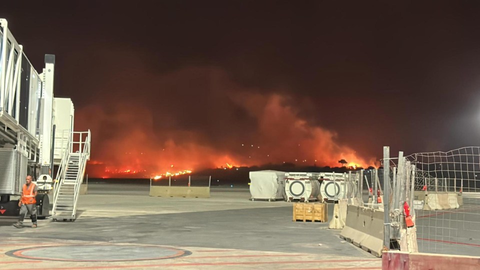 Wildfire blazes were seen close to Palermo airport