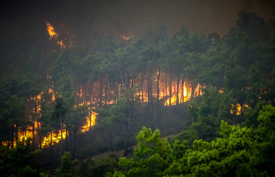 Wildfires have been raging across Rhodes and spread quickly overnight as high winds fanned the fires