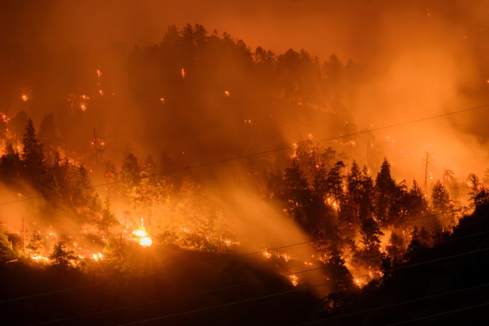 Smoke and flames are seen from a burning forest in Switzerland