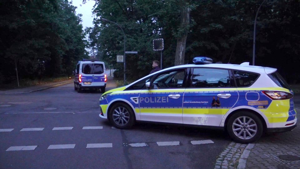 Police are working to locate the animal in the southern suburbs of Berlin