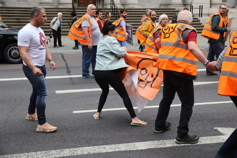 She could be seen ripping the banners from the Just Stop Oil protestors in London this morning