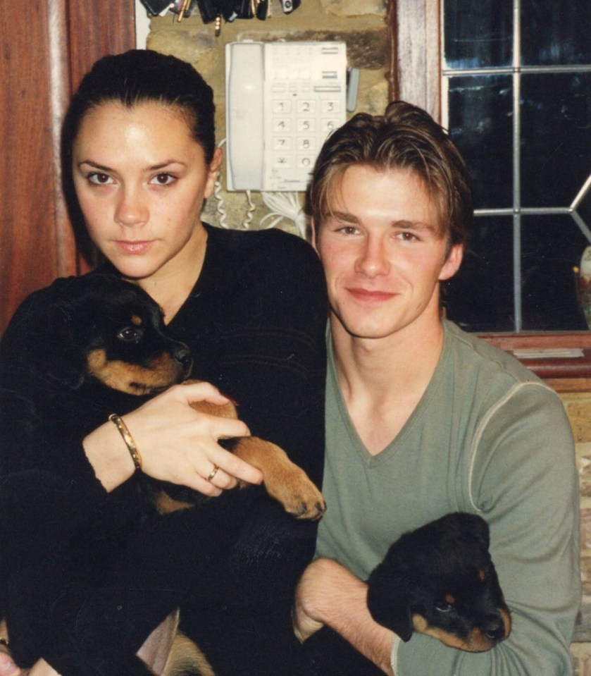 David shared a photo of the couple in their younger days with two dogs