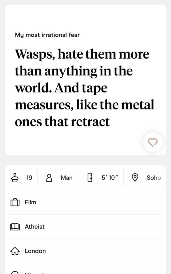 Joe reveals his hatred of wasps and metal tape measures