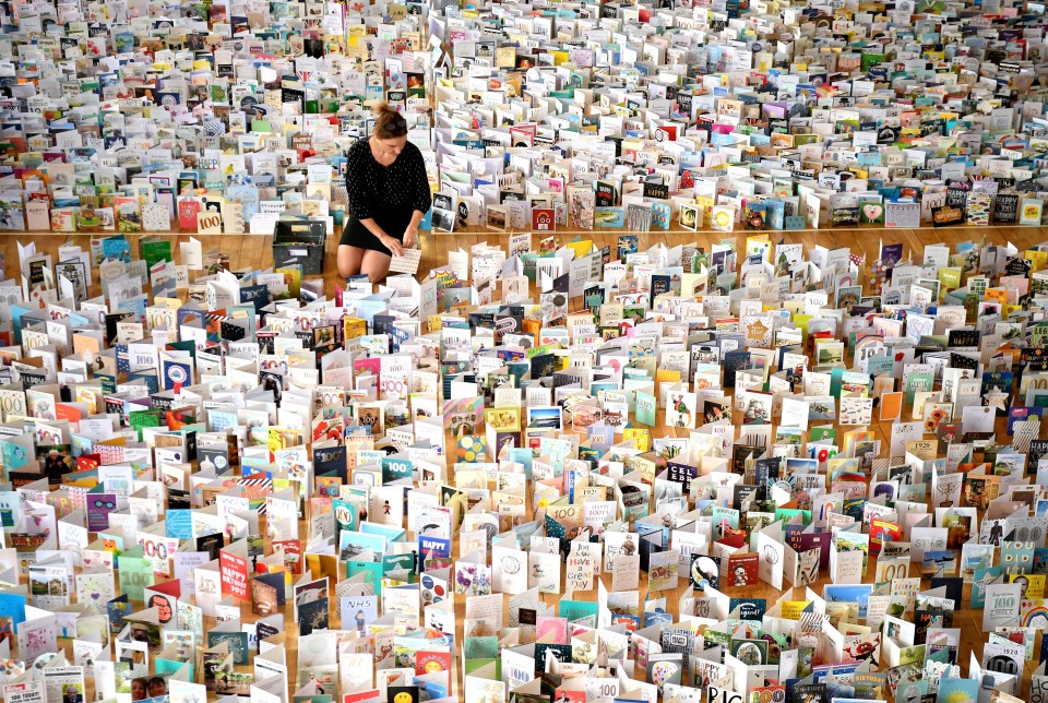 The sorting station in Benji's school for the 25,000 cards