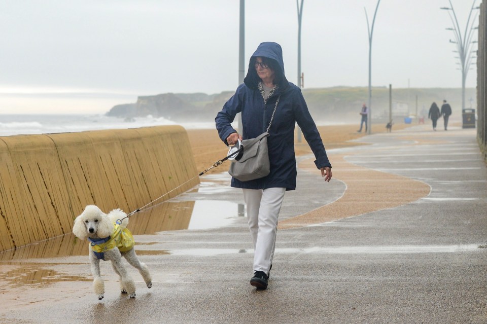 Gloomy skies and rainy conditions hit South Tyneside earlier in the week