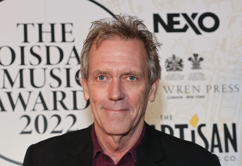 Hugh Laurie has been busy recently, but he has now decided to take up another career on the side of acting and directing roles