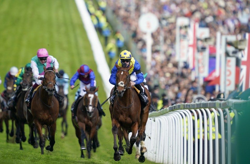 Desert Crown on his way to winning the Derby last year