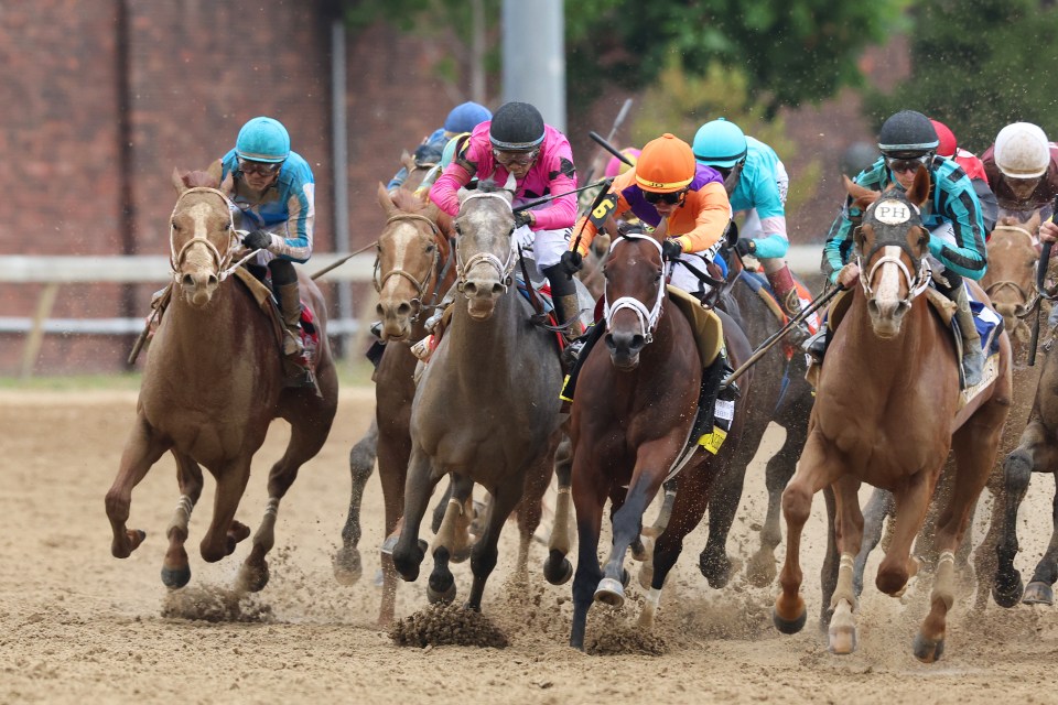 Racing at Finger Lakes was stopped after just a few races