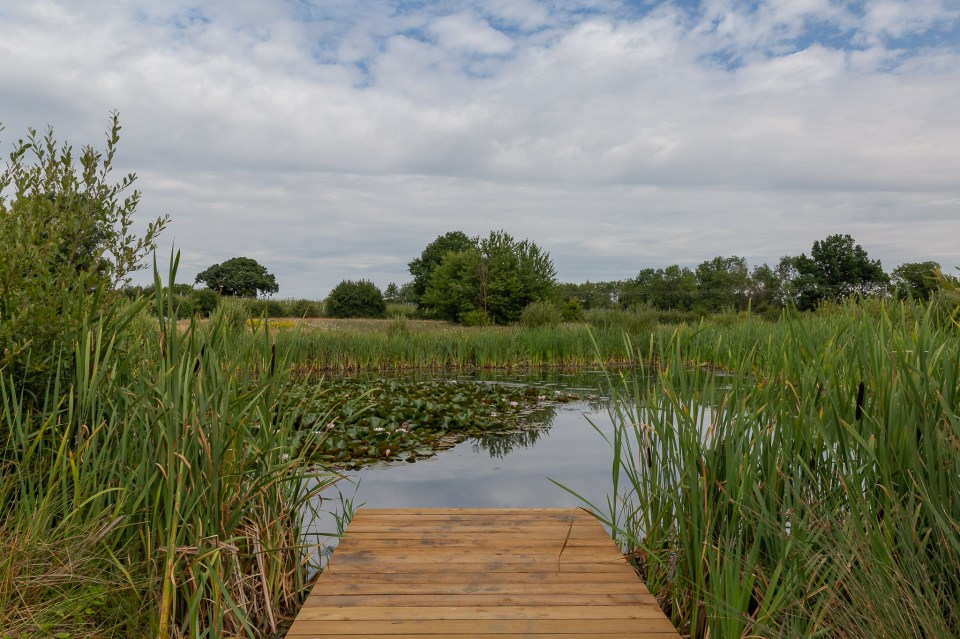 There's also a pond where holidaymakers can go swimming