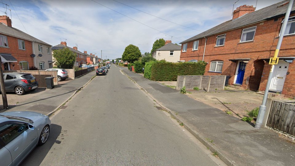 A schoolboy was mauled by a dog in the second attack in Worcester yesterday