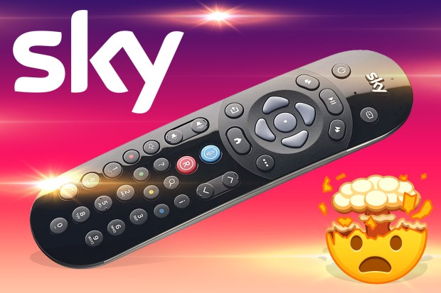 a remote control with the word sky on it