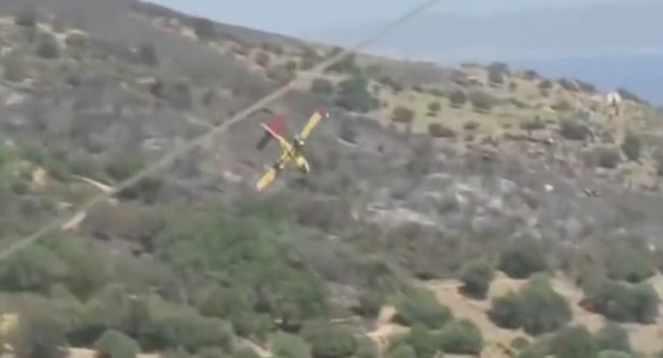 The plane rolled over and plunged into the hillside after its wing clipped a tree