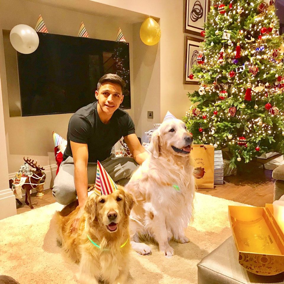 Sanchez has shared many pictures of his dogs