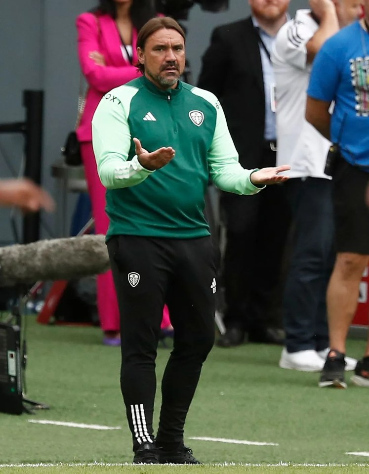 Daniel Farke looks on intensely, a week after being made Leeds boss