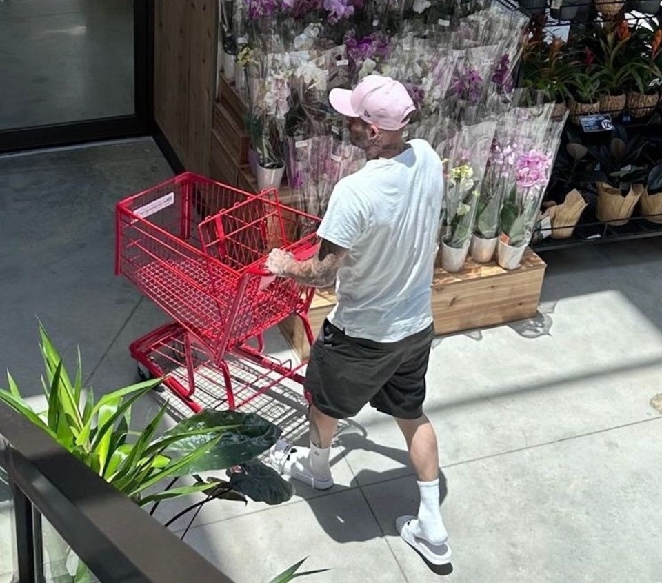 Beckham goes grocery shopping at Trader Joe's in Miami