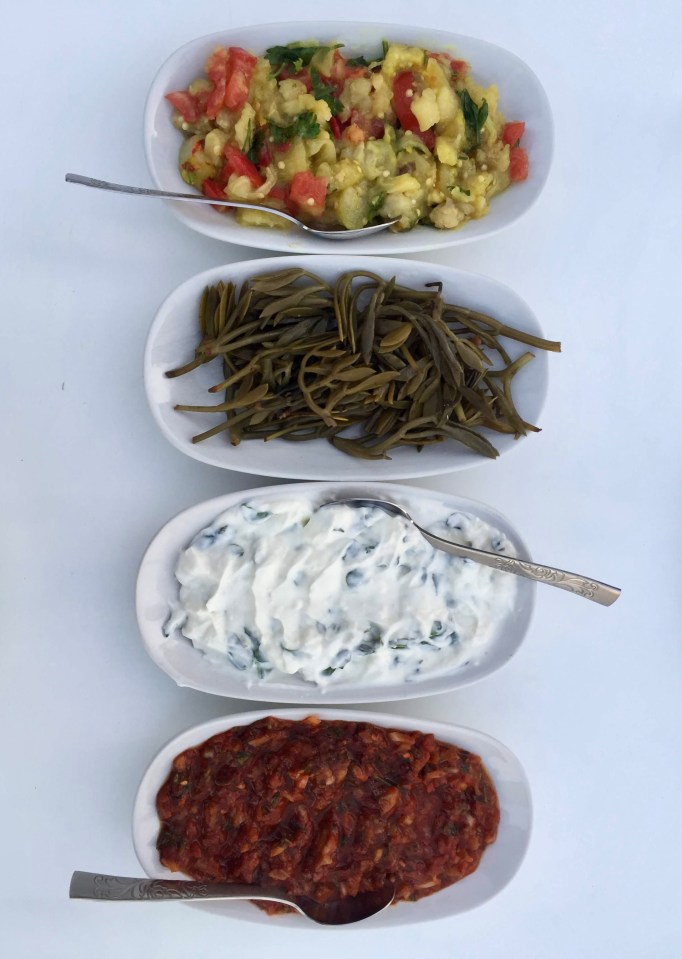 A feast of Turkish dishes